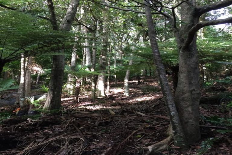 Photo of property in 16 Waikarekare Lane, Karekare, Auckland, 0772