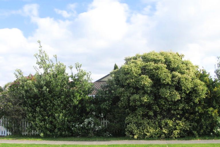 Photo of property in 584a Papamoa Beach Road, Papamoa Beach, Papamoa, 3118