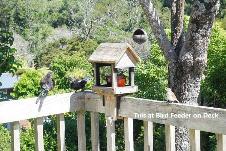 Photo of property in 1/163 Balmain Road, Birkenhead, Auckland, 0626