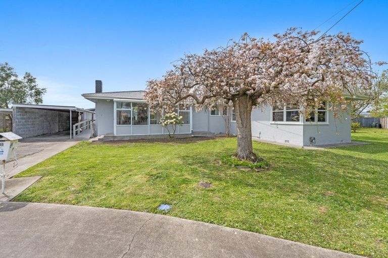 Photo of property in 18 Norwich Place, Awapuni, Palmerston North, 4412