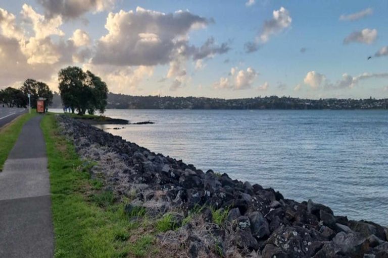 Photo of property in 117 Coronation Road, Hillcrest, Auckland, 0627