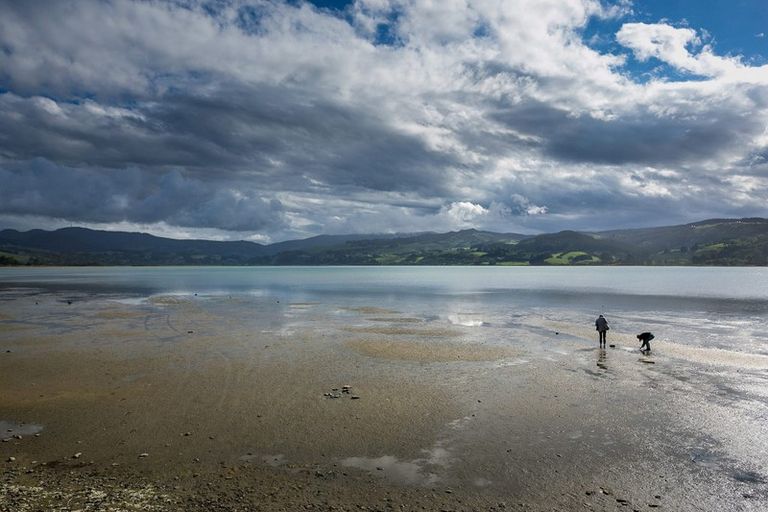 Photo of property in 21 Park Road, Warrington, Waikouaiti, 9471