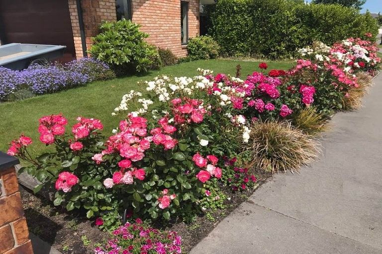 Photo of property in 8 Mariposa Crescent, Aidanfield, Christchurch, 8025