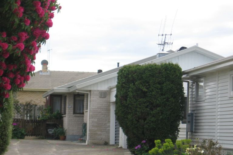 Photo of property in 67a Paine Street, Judea, Tauranga, 3110