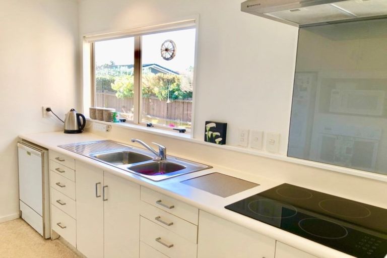 Photo of property in 103a Clarkin Road, Fairfield, Hamilton, 3214