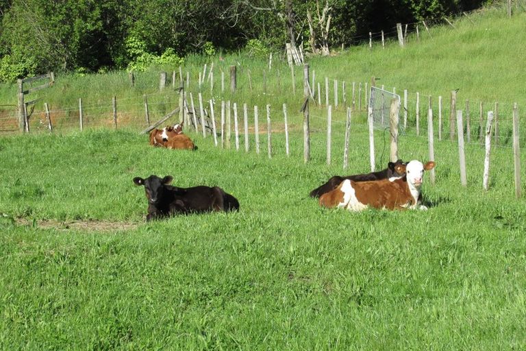 Photo of property in 469e Minden Road, Minden, Tauranga, 3176