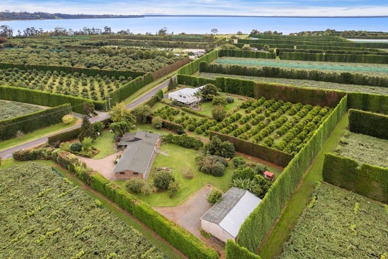 Photo of property in 92 Pukakura Road, Katikati, 3178