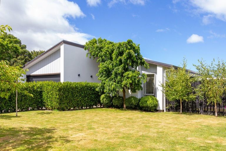 Photo of property in 20 Whatman Avenue, Masterton, 5810