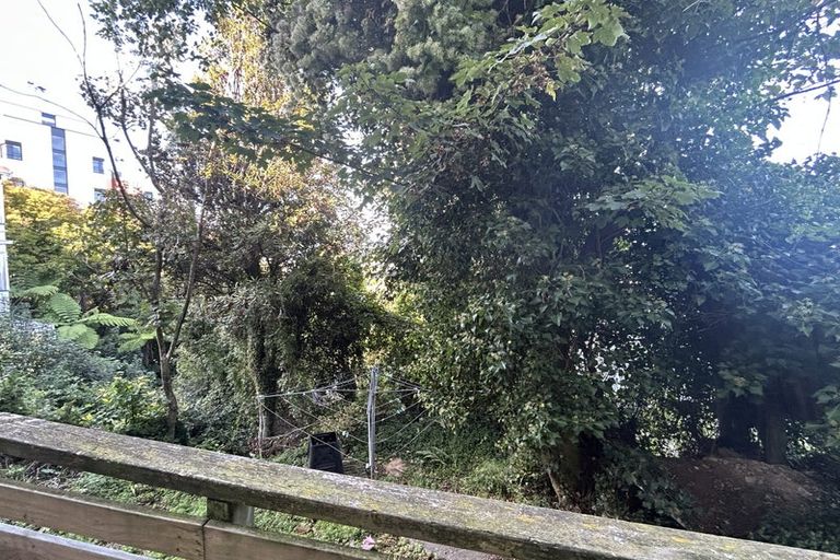 Photo of property in 70 Fairlie Terrace, Kelburn, Wellington, 6021