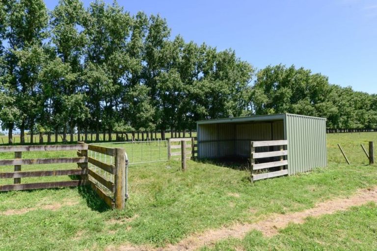 Photo of property in 134 Reynolds Road, Rotoorangi, Cambridge, 3495