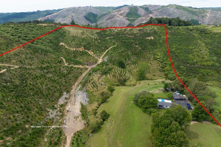 Photo of property in 194 Skyhigh Road, Hunua, Papakura, 2583