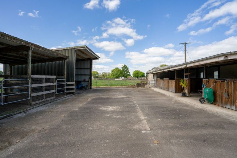 Photo of property in 67 Peake Road, Cambridge, 3493