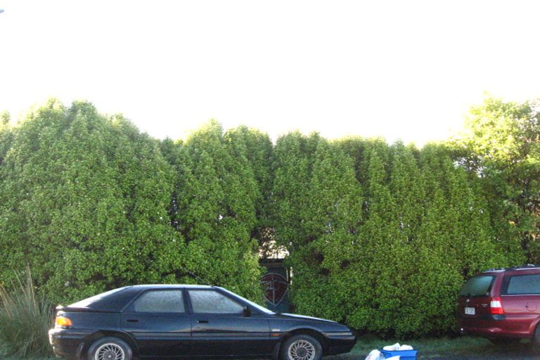 Photo of property in 43 Harvey Street, Waitati, 9085