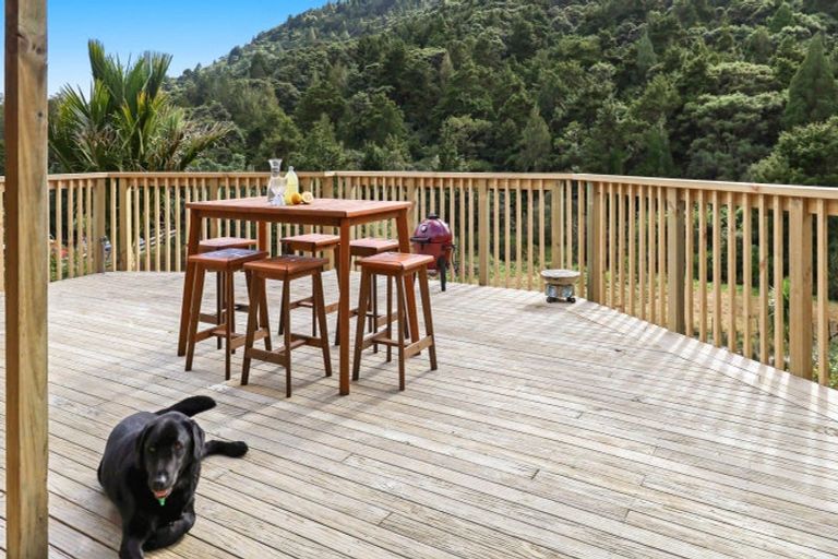 Photo of property in 954 Matakana Valley Road, Whangaripo, Wellsford, 0972