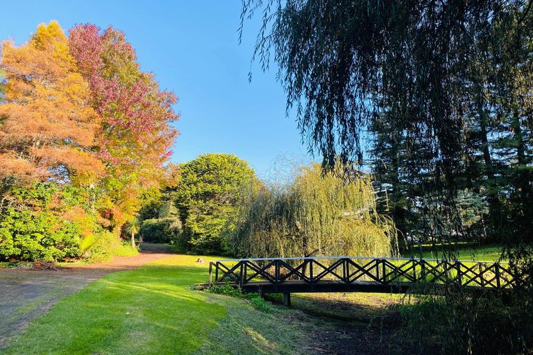 Photo of property in 545a-c Kerikeri Road, Kerikeri, 0293