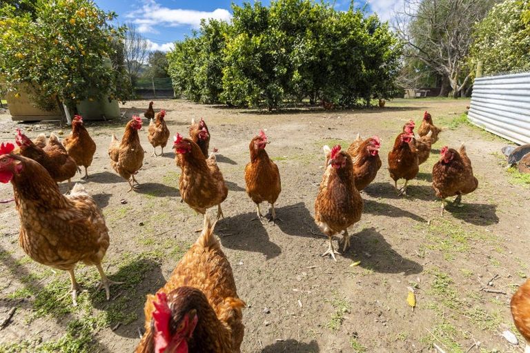 Photo of property in 312 King Road, Makauri, Gisborne, 4071