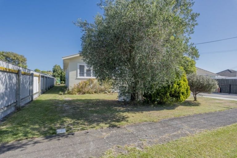 Photo of property in 11 Carlisle Street, Levin, 5510