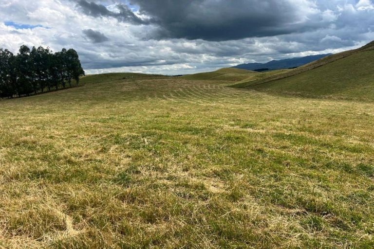 Photo of property in 183 Smith Road, Dannevirke, 4978
