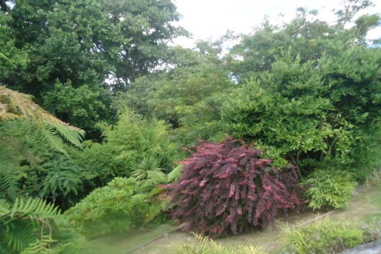 Photo of property in 24 Ruru Crescent, Putaruru, 3411