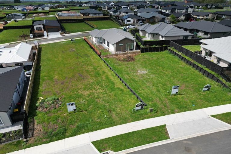 Photo of property in 24 Harp Street, Morrinsville, 3300