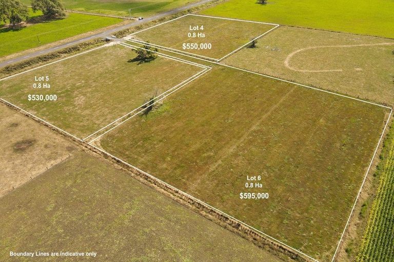 Photo of property in 502a Tenfoot Road, Taupiri, 3791