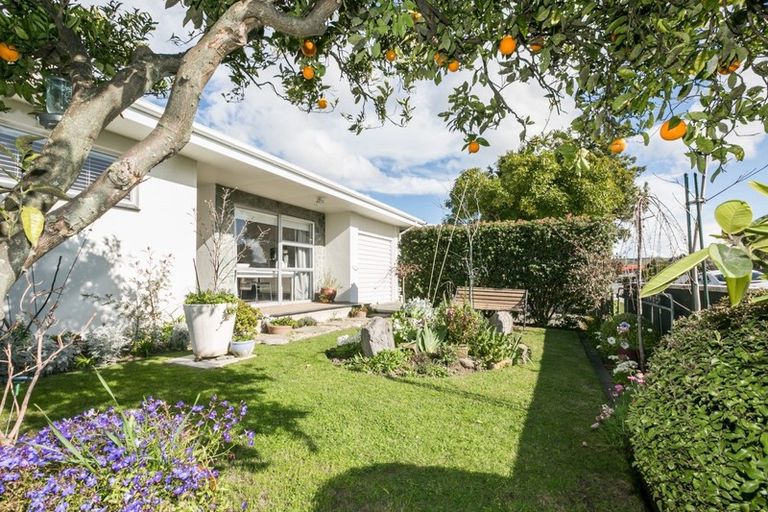 Photo of property in 1/26 Chester Street, Taradale, Napier, 4112