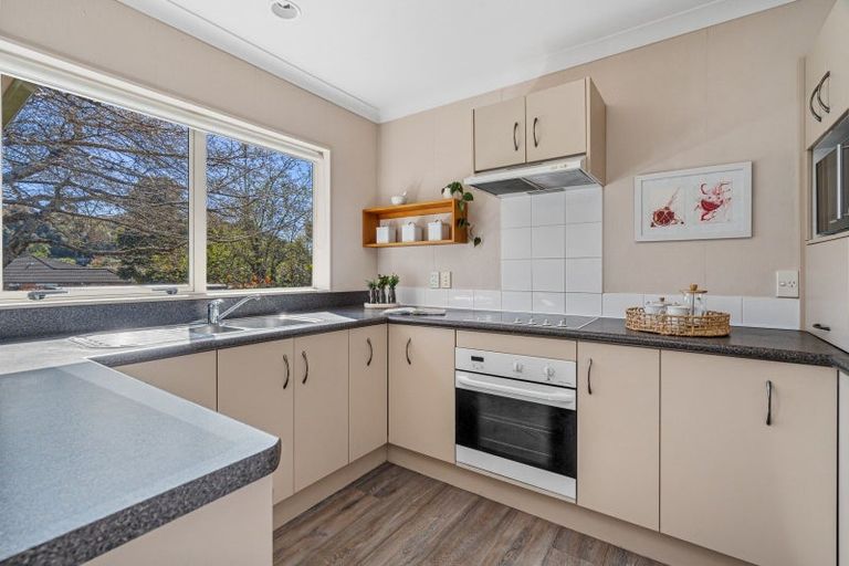 Photo of property in 243 Cheyne Road, Pyes Pa, Tauranga, 3112