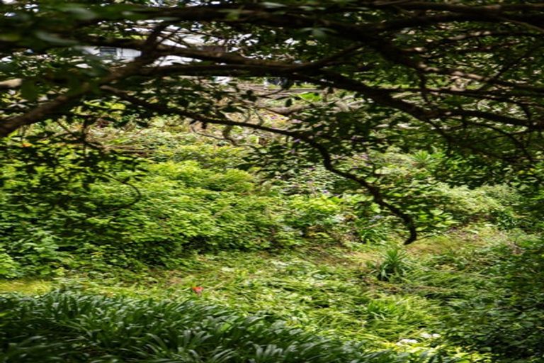 Photo of property in 37 Pohutukawa Drive, Athenree, Katikati, 3177