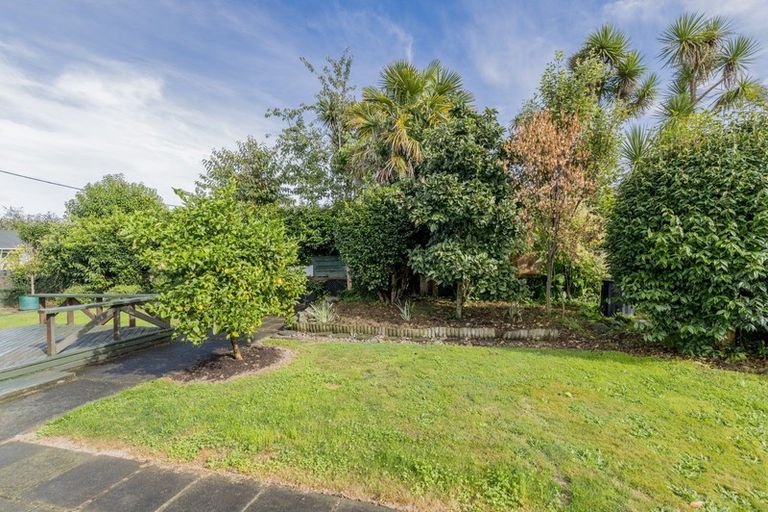 Photo of property in 81 Queenwood Road, Levin, 5510