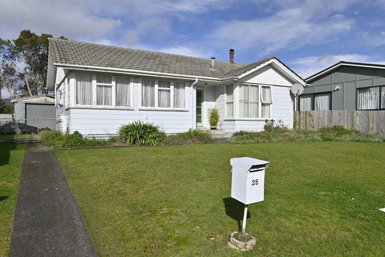 Photo of property in 25 Hinemoa Street, Levin, 5510