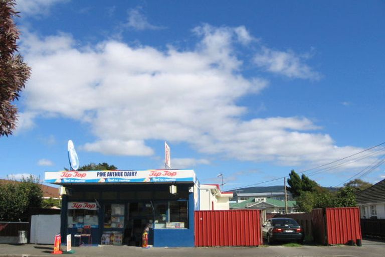 Photo of property in 63 Pine Avenue, Ebdentown, Upper Hutt, 5018