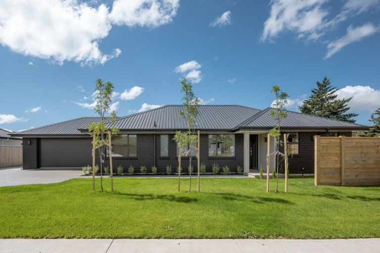 Photo of property in 125 Turnbull Drive, Witherlea, Blenheim, 7201