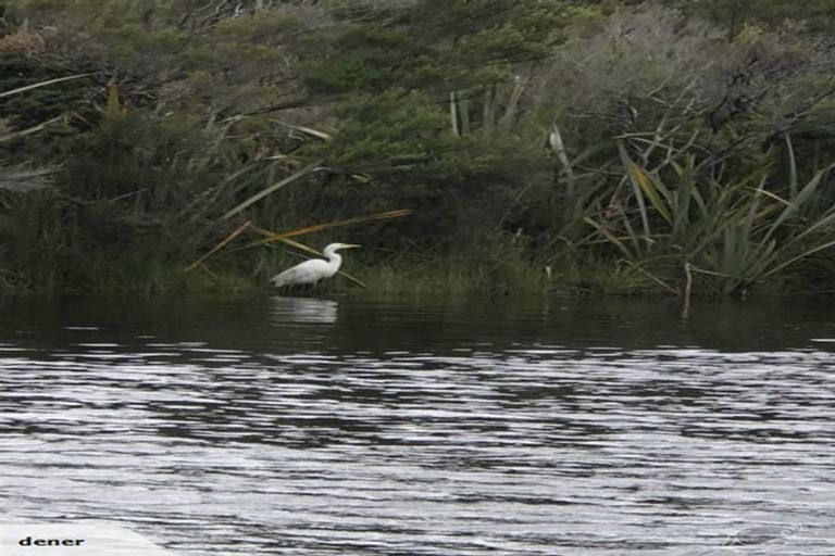 Photo of property in 6 The Strand, Okarito, Whataroa, 7886