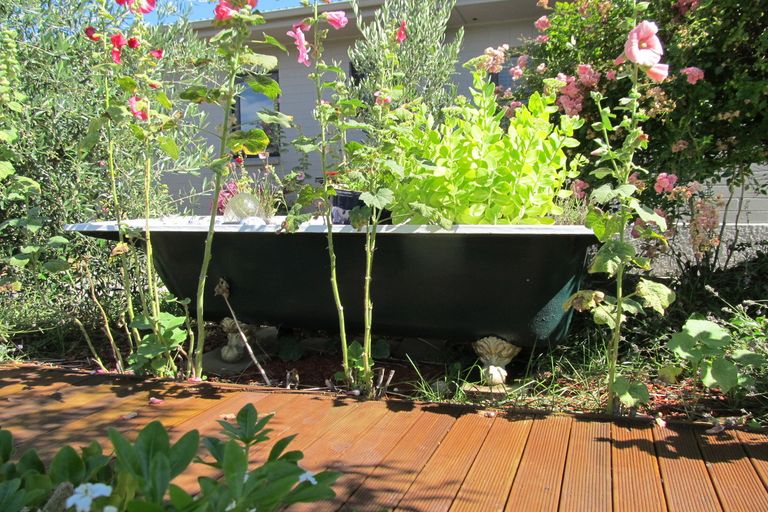 Photo of property in 8 Blackmore Crescent, Alexandra, 9320