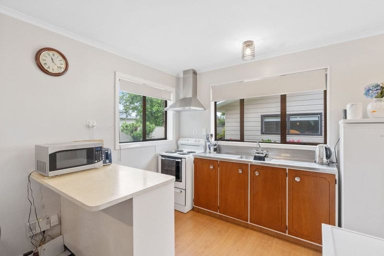 Photo of property in 158 Tiro Tiro Road, Levin, 5510