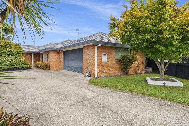 Photo of property in 41 Francevic Avenue, Mount Maunganui, 3116
