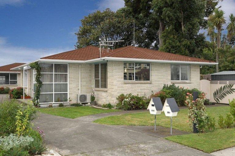 Photo of property in 220a Wolseley Street, Mayfair, Hastings, 4122