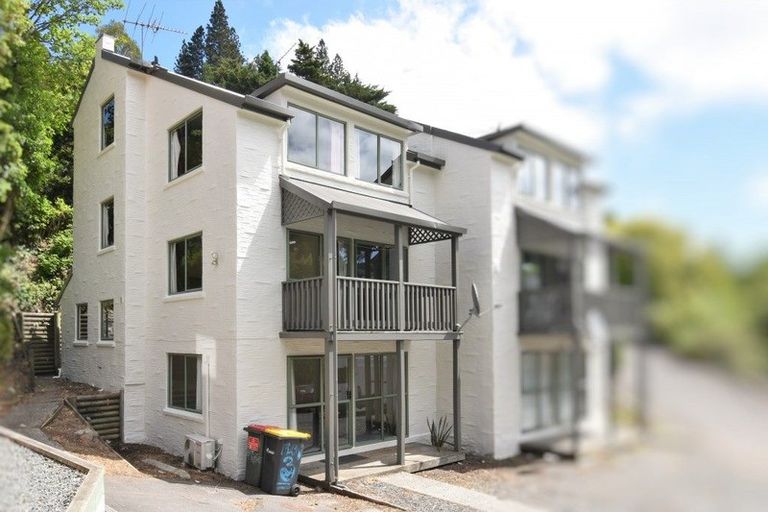 Photo of property in 63 Opoho Road, North East Valley, Dunedin, 9010