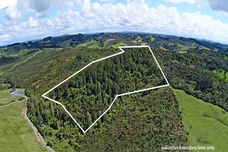 Photo of property in 244a Blackbridge Road, Dairy Flat, 0794