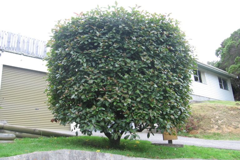 Photo of property in 47b Chester Road, Tawa, Wellington, 5028