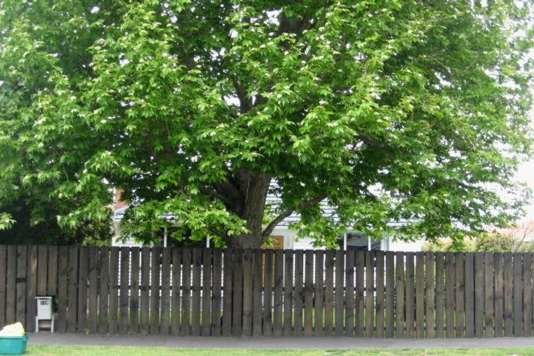 Photo of property in 115 Isleworth Road, Bishopdale, Christchurch, 8053