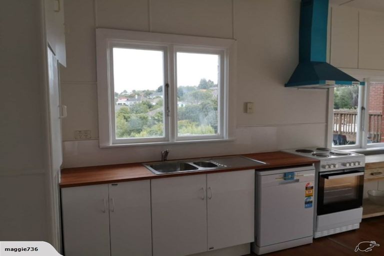 Photo of property in 115 Chapman Street, Wakari, Dunedin, 9010