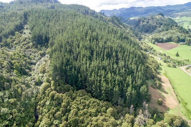 Photo of property in 195 Kapowai Road, Whenuakite, Whitianga, 3591