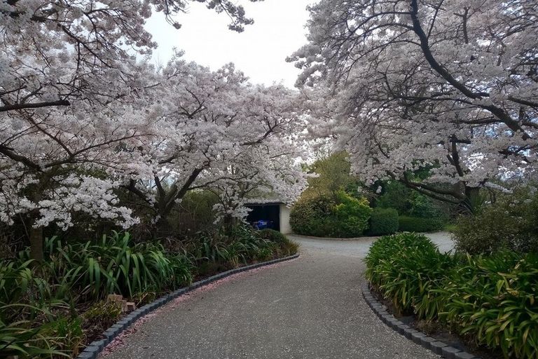 Photo of property in 21 Manna Place, West Melton, Christchurch, 7675