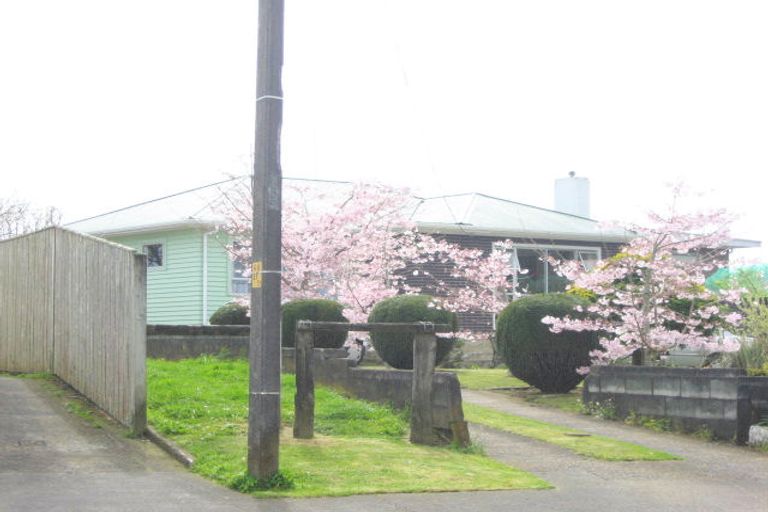 Photo of property in 17 Clyde Street, Ferndale, New Plymouth, 4310
