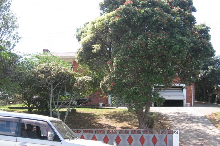 Photo of property in 39 Ellis Avenue, Mount Roskill, Auckland, 1041