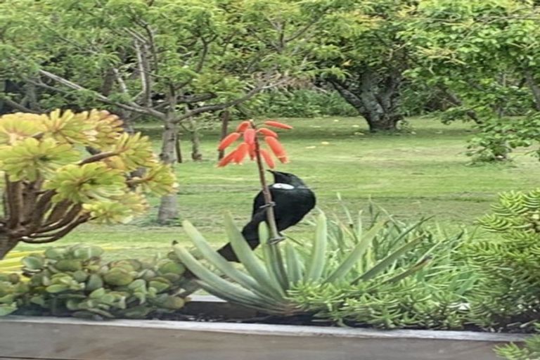 Photo of property in 7 Martin Loop, Tasman, Upper Moutere, 7175