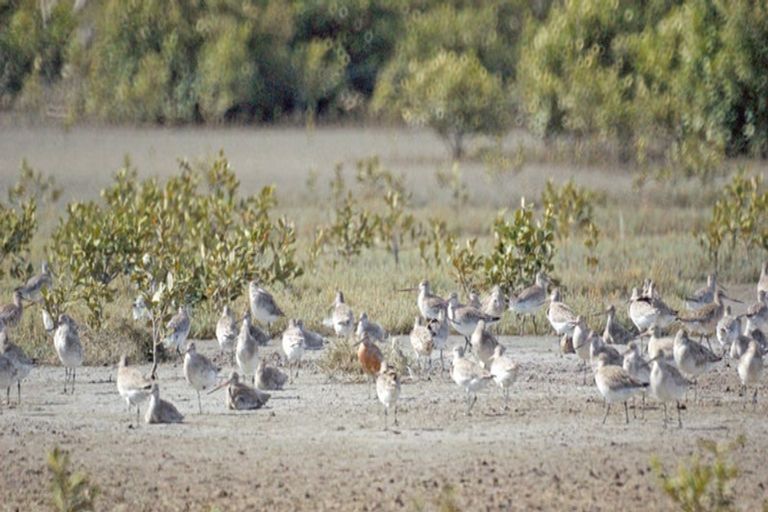 Photo of property in 68d Tuparekura Road, South Head, Helensville, 0874