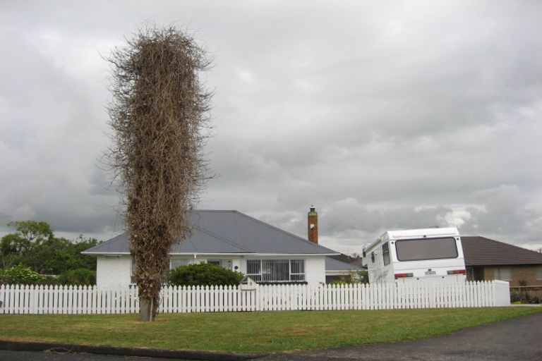 Photo of property in 9 Coronation Avenue, Pukekohe, 2120