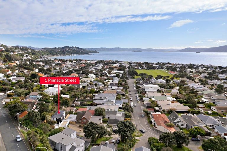 Photo of property in 1 Pinnacle Street, Seatoun, Wellington, 6022